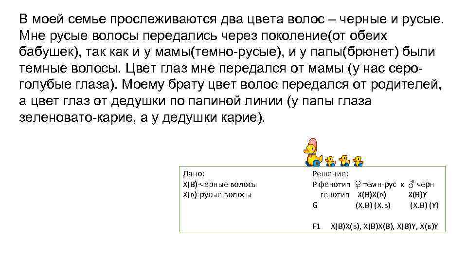 В моей семье прослеживаются два цвета волос – черные и русые. Мне русые волосы