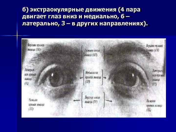 б) экстраокулярные движения (4 пара двигает глаз вниз и медиально, 6 – латерально, 3