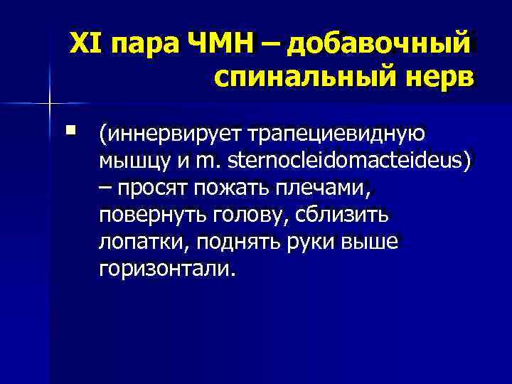 XI пара ЧМН – добавочный спинальный нерв (иннервирует трапециевидную мышцу и m. sternocleidomacteideus) –