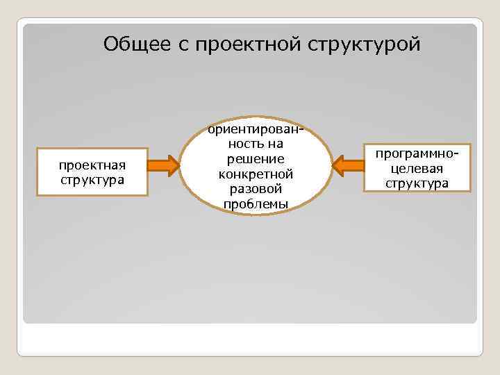  Общее с проектной структурой проектная структура ориентированность на решение конкретной разовой проблемы программноцелевая