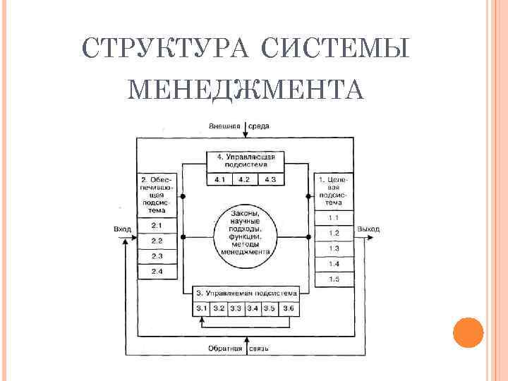 СТРУКТУРА СИСТЕМЫ МЕНЕДЖМЕНТА 