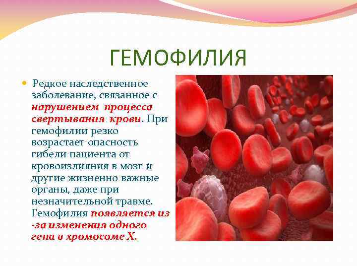 ГЕМОФИЛИЯ Редкое наследственное заболевание, связанное с нарушением процесса свертывания крови. При гемофилии резко возрастает