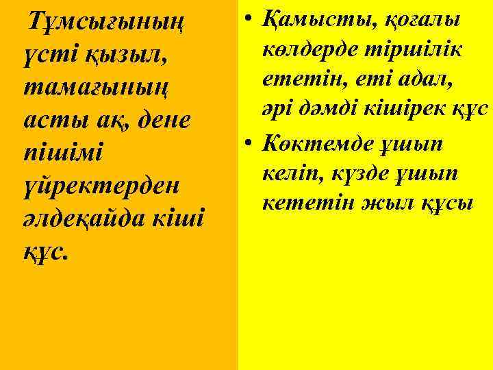 Тұмсығының үсті қызыл, тамағының асты ақ, дене пішімі үйректерден әлдеқайда кіші құс. • Қамысты,