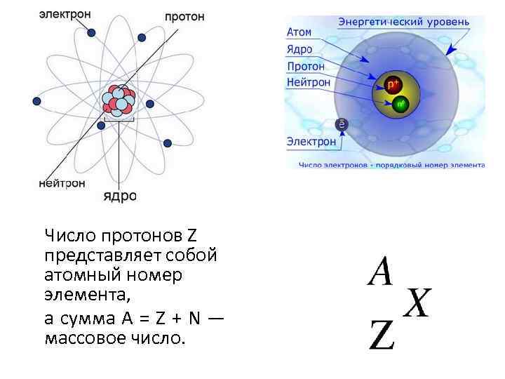 Ядро атома образуют. Протон електроны нейтроны физика. Схема атома протонов и нейтронов. Протоны и нейтроны в ядре. Строение атома протоны нейтроны электроны.