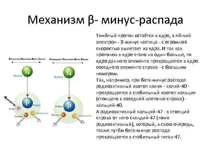 Электрон легкая. Бета минус распад. При бета распаде из ядра вылетает. Распад нейтрона нейтрино Протон. Бета распад Протона.