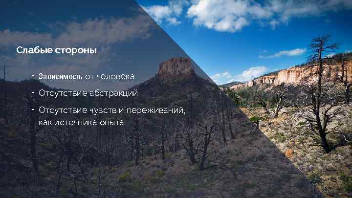 Слабые стороны ╺ Зависимость от человека ╺ Отсутствие абстракций ╺ Отсутствие чувств и переживаний,