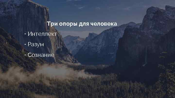 Три опоры для человека ╺ Интеллект ╺ Разум ╺ Сознание 3 