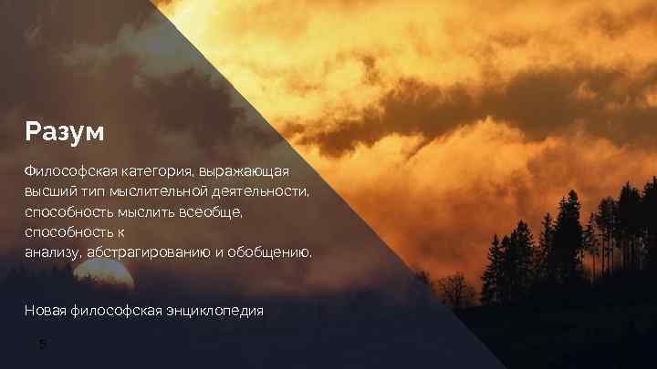 Разум Философская категория, выражающая высший тип мыслительной деятельности, способность мыслить всеобще, способность к анализу,