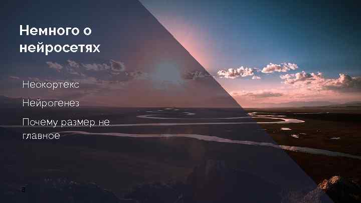 Немного о нейросетях Неокортекс Нейрогенез Почему размер не главное 8 