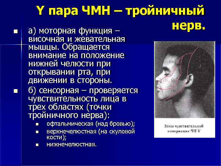  Y пара ЧМН – тройничный нерв. а) моторная функция – височная и жевательная