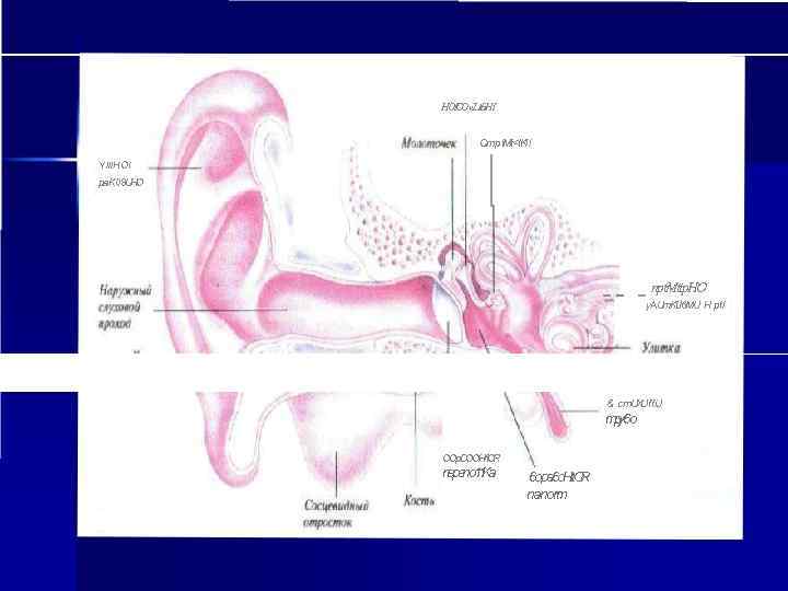 HOICO «Lt 6 HI Cmpt. Mt<IKll Ylll. HOI pa. K 08 UHO - -