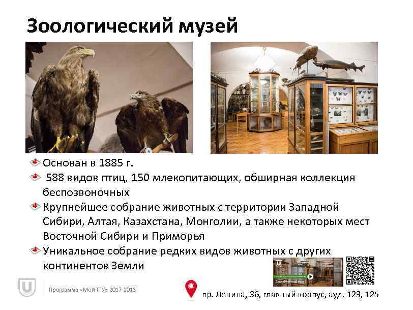Зоологический музей Основан в 1885 г. 588 видов птиц, 150 млекопитающих, обширная коллекция беспозвоночных