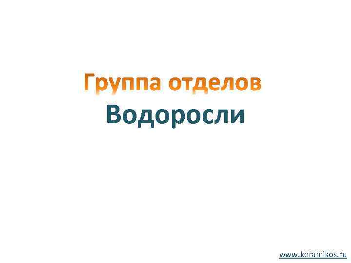 Водоросли www. keramikos. ru 