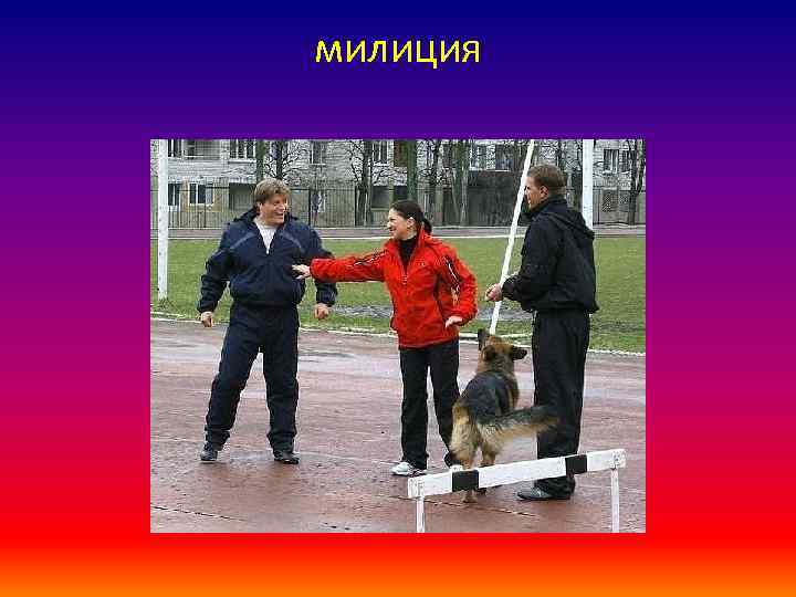 милиция 