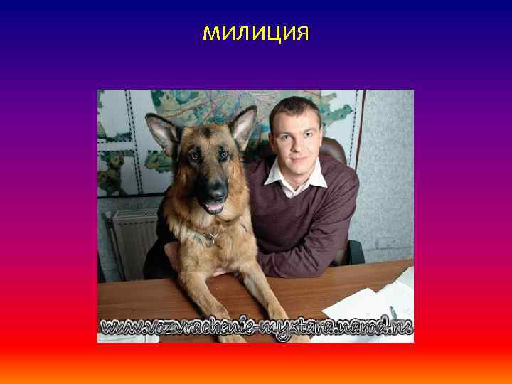 милиция 