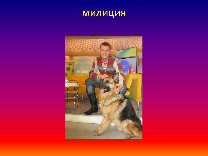 милиция 