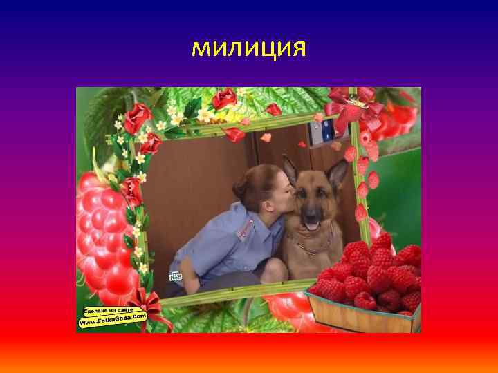 милиция 