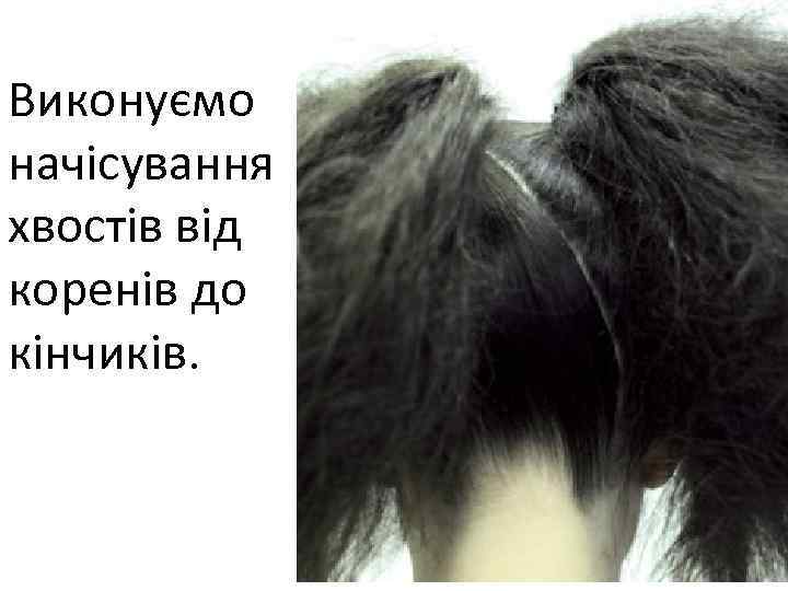 Виконуємо начісування хвостів від коренів до кінчиків. 