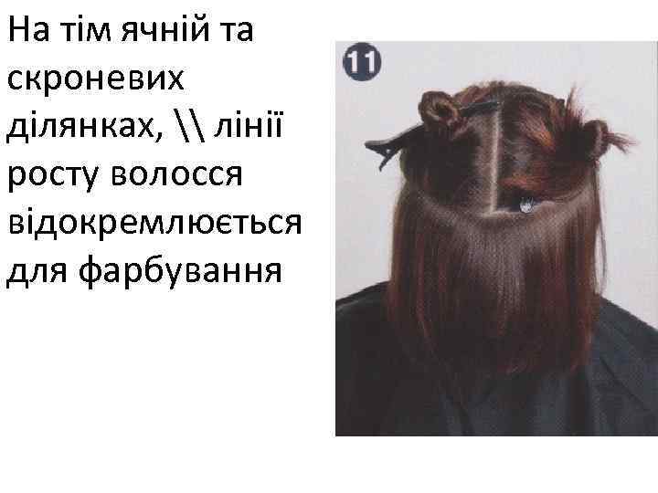 На тім ячній та скроневих ділянках, \ лінії росту волосся відокремлюється для фарбування 