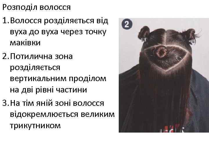 Розподіл волосся 1. Волосся розділяється від вуха до вуха через точку маківки 2. Потилична