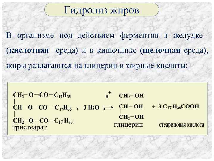 Гидролиз жиров В организме под действием ферментов в желудке (кислотная среда) и в кишечнике