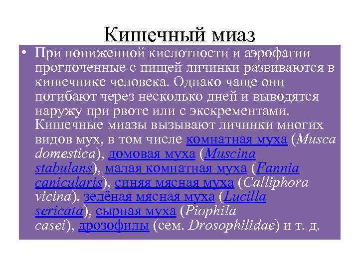 Кишечный миаз • При пониженной кислотности и аэрофагии проглоченные с пищей личинки развиваются в