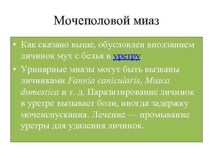 Мочеполовой миаз • Как сказано выше, обусловлен вползанием личинок мух с белья в уретру.