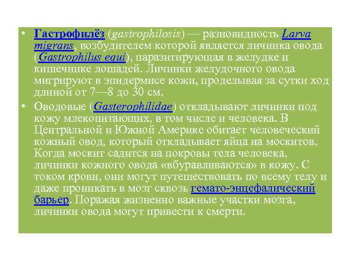  • Гастрофилёз (gastrophilosis) — разновидность Larva migrans, возбудителем которой является личинка овода (Gastrophilus