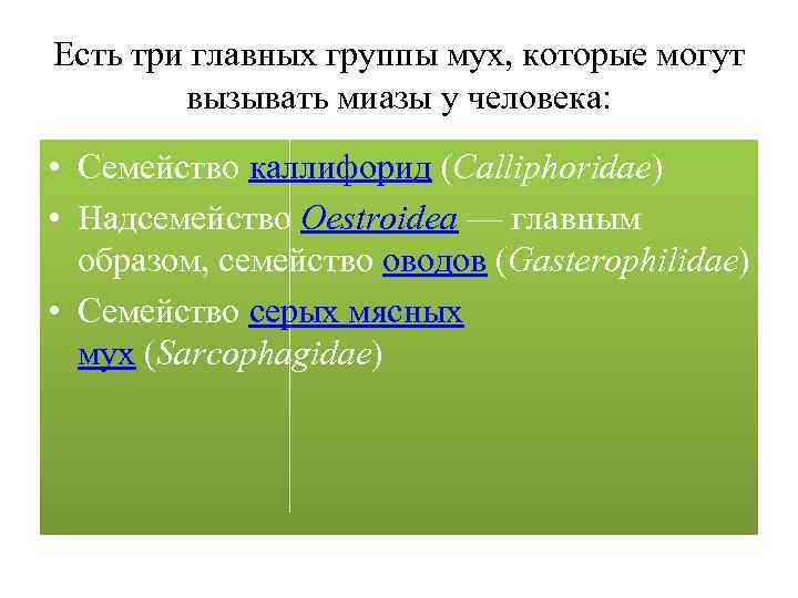 Есть три главных группы мух, которые могут вызывать миазы у человека: • Семейство каллифорид