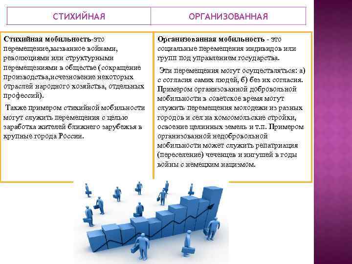 Организованной мобильностью называют перемещения человека