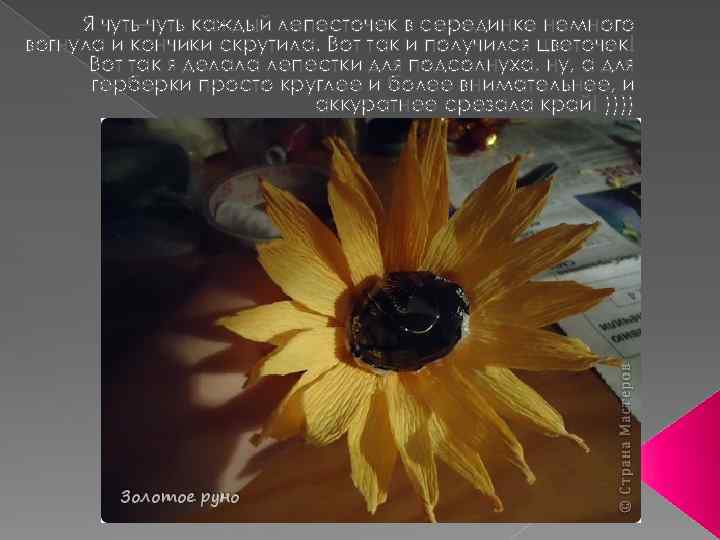 Я чуть-чуть каждый лепесточек в серединке немного вогнула и кончики скрутила. Вот так и