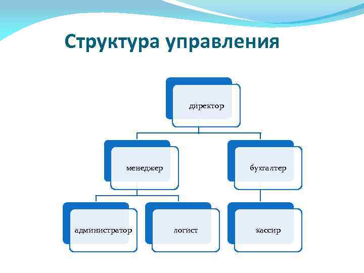 Структура управления директор менеджер администратор бухгалтер логист кассир 