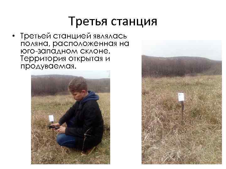 Третья станция • Третьей станцией являлась поляна, расположенная на юго-западном склоне. Территория открытая и