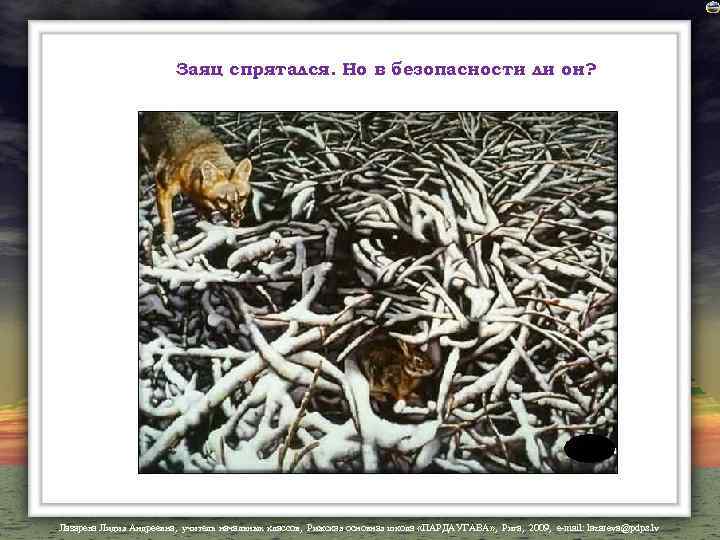 Заяц спрятался. Но в безопасности ли он? Лазарева Лидия Андреевна, учитель начальных классов, Рижская