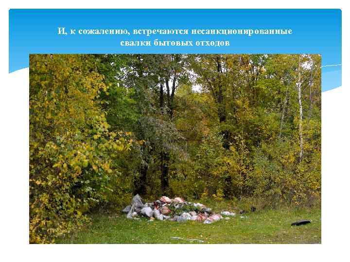 И, к сожалению, встречаются несанкционированные свалки бытовых отходов 