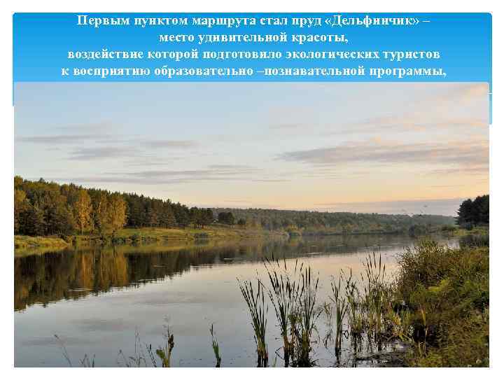 Первым пунктом маршрута стал пруд «Дельфинчик» – место удивительной красоты, воздействие которой подготовило экологических