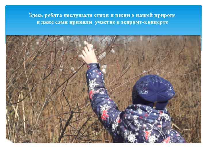 Здесь ребята послушали стихи и песни о нашей природе и даже сами приняли участие