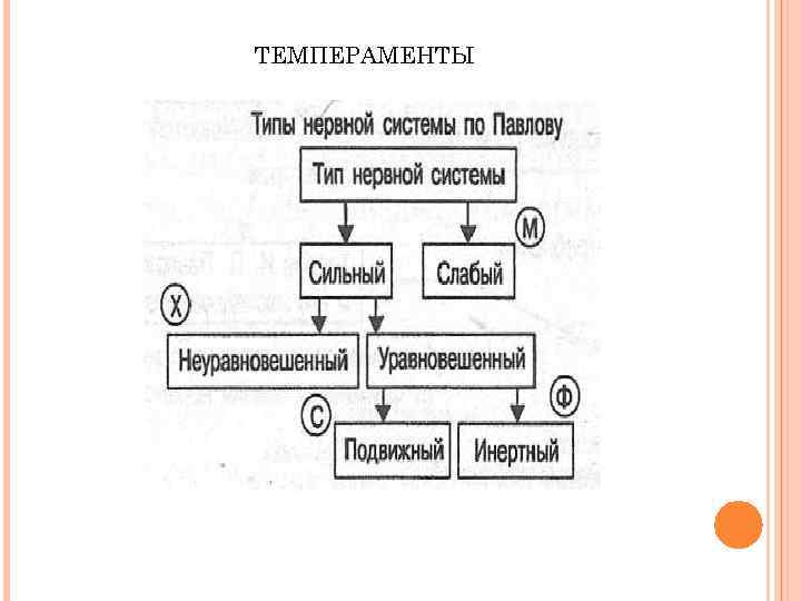 ТЕМПЕРАМЕНТЫ 