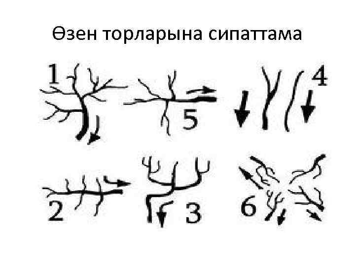 Өзен торларына сипаттама 