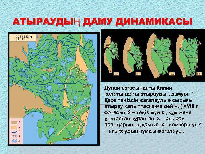 АТЫРАУДЫҢ ДАМУ ДИНАМИКАСЫ Дунай сағасындағы Килий қолатындағы атыраудың дамуы: 1 – Қара теңіздің жағалаулыө