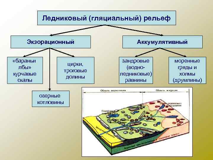 Ледниковый (гляциальный) рельеф Экзорационный «бараньи лбы» курчавые скалы цирки, троговые долины озерные котловины Аккумулятивный