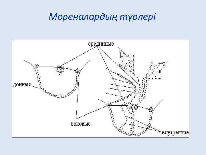 Мореналардың түрлері 