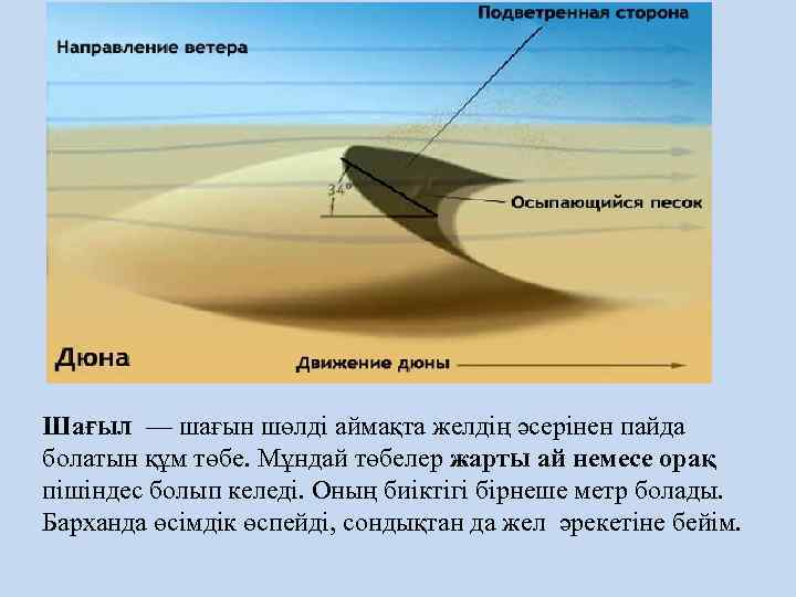 Шағыл — шағын шөлді аймақта желдің әсерінен пайда болатын құм төбе. Мұндай төбелер жарты