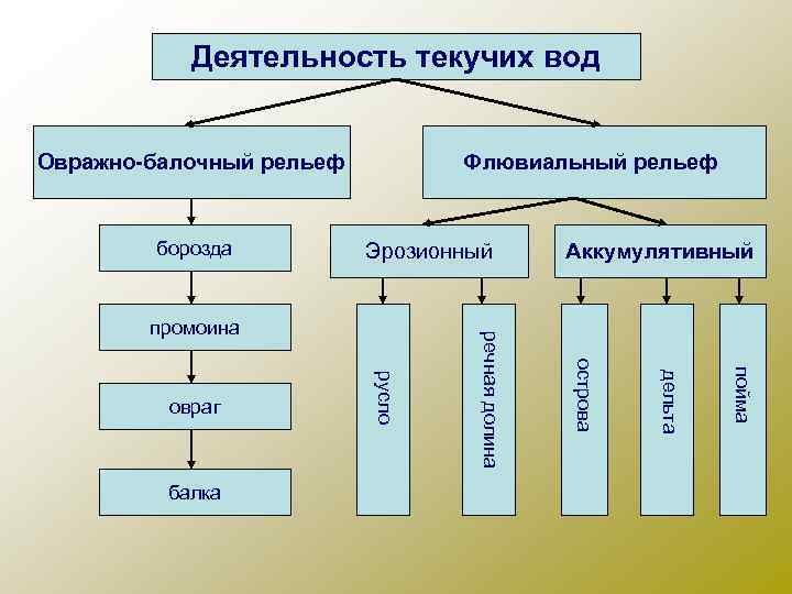 Деятельность текучих вод Овражно-балочный рельеф борозда Флювиальный рельеф Эрозионный пойма дельта острова балка русло