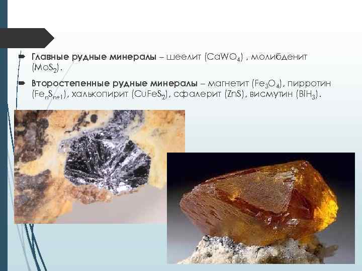  Главные рудные минералы – шеелит (Ca. WO 4) , молибденит (Mo. S 2).