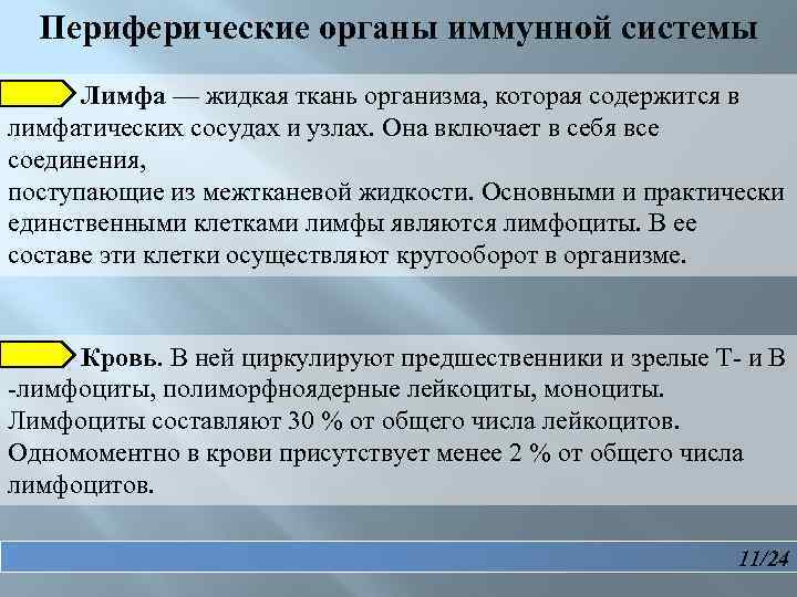 Периферические органы иммунной системы Лимфа — жидкая ткань организма, которая содержится в лимфатических сосудах