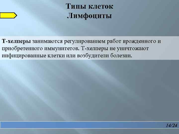  Типы клеток Лимфоциты Т-хелперы занимаются регулированием работ врожденного и приобретенного иммунитетов. Т-хелперы не