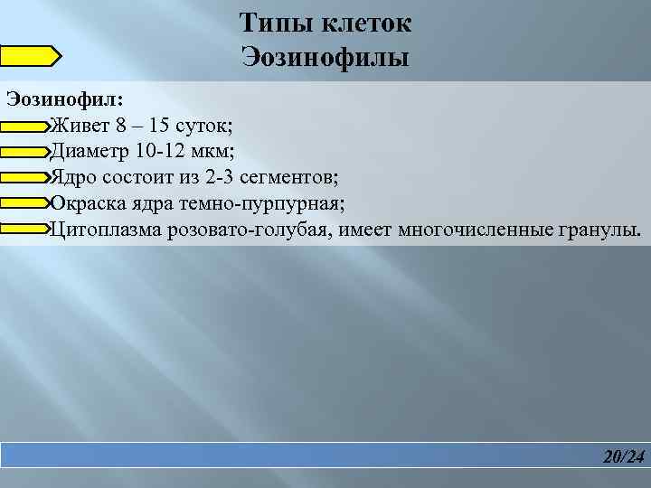  Типы клеток Эозинофилы Эозинофил: Живет 8 – 15 суток; Диаметр 10 -12 мкм;