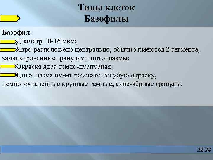  Типы клеток Базофилы Базофил: Диаметр 10 -16 мкм; Ядро расположено центрально, обычно имеются