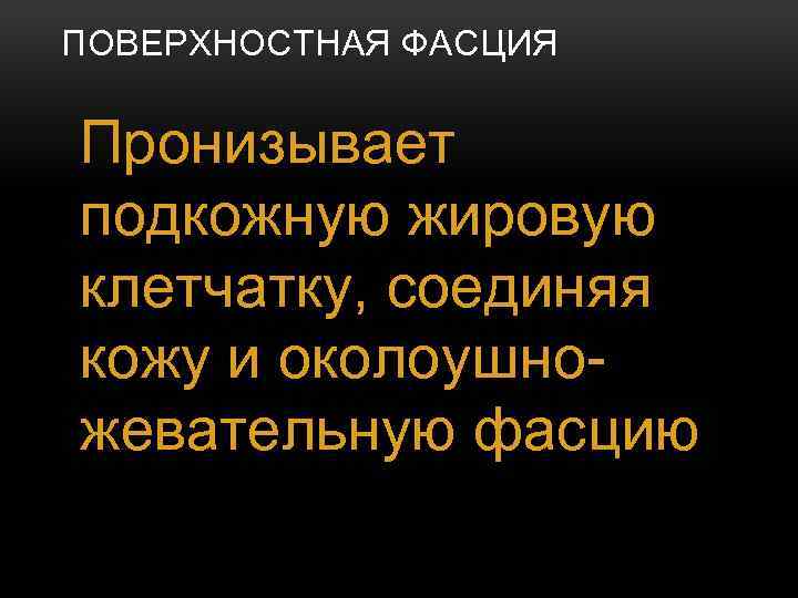 ПОВЕРХНОСТНАЯ ФАСЦИЯ Пронизывает подкожную жировую клетчатку, соединяя кожу и околоушножевательную фасцию 